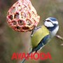 AYAHODA™ Small Wild Birds Help – Pomoc malým ptáčkům v přírodě a AYAHODA™ ptačí krmítko, které jsem vymyslela.
